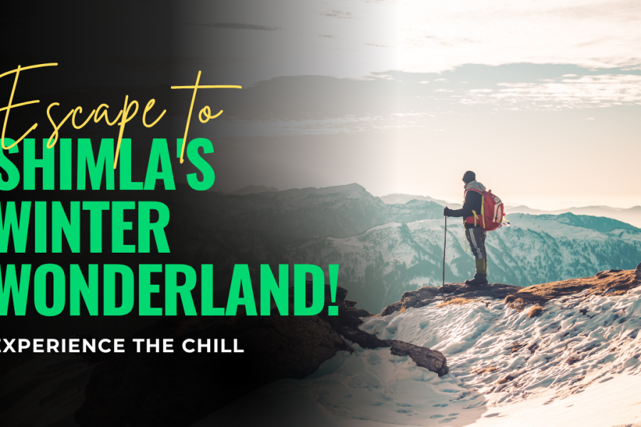 Himachal (Shimla + Manali)